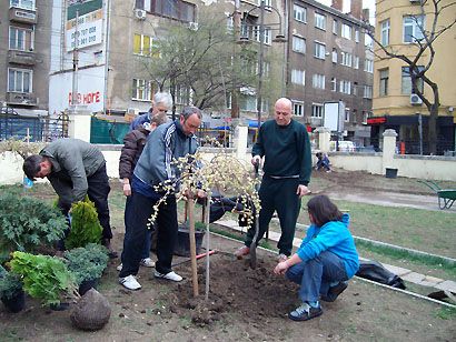 2012-0001.jpg