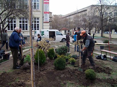 2012-0003.jpg
