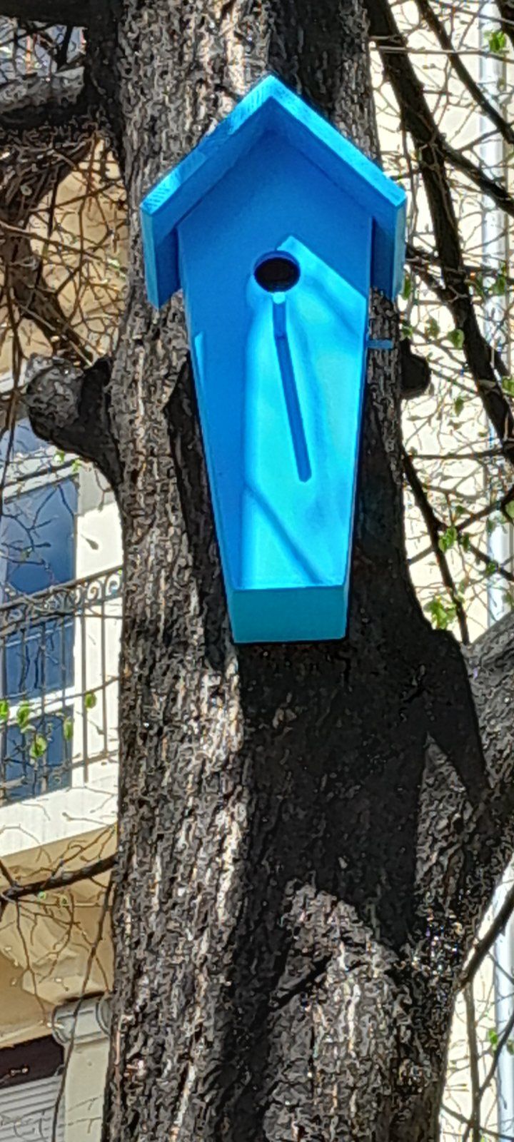 DSC_0068.jpeg