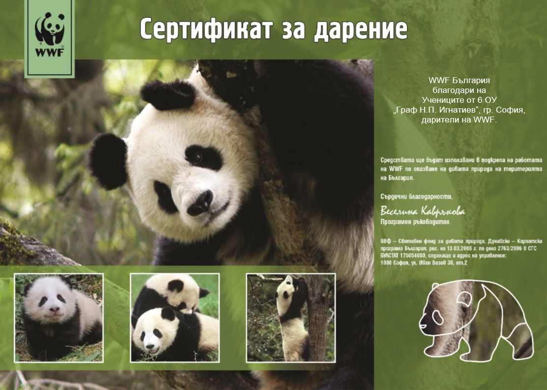 WWF.jpg